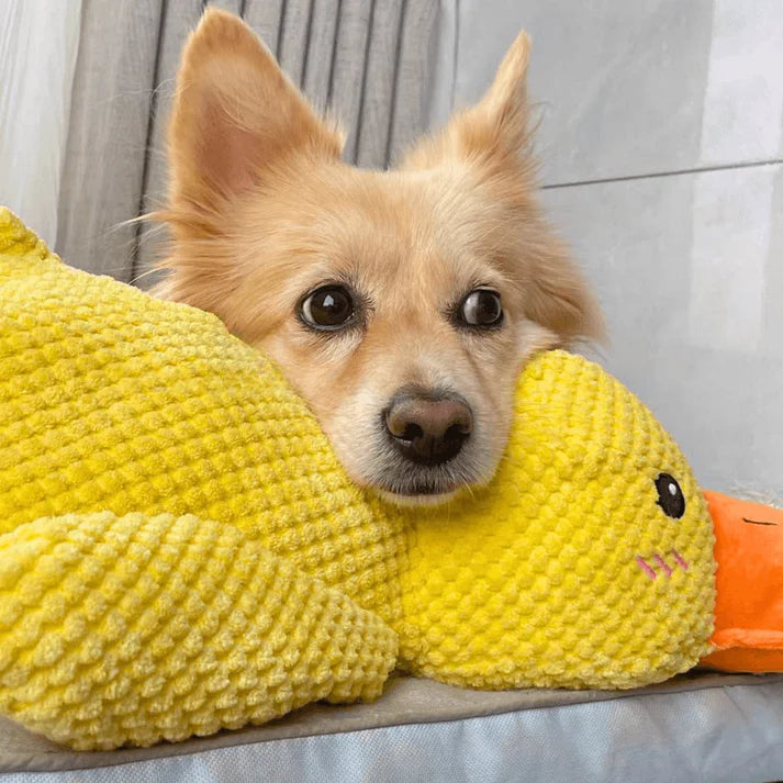 Peluche Resistente para Perros con Ansiedad | Calma, Juego y Compañía en tu Ausencia - Patito Feliz™ de Petplify (Cópia)