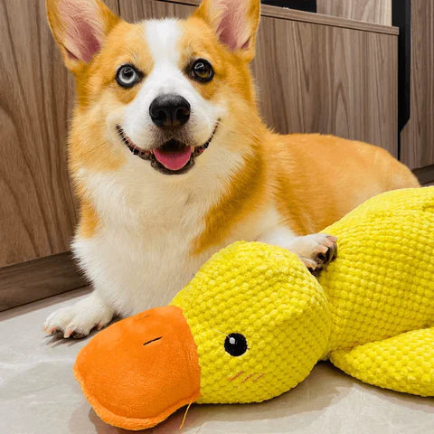 Peluche Resistente para Perros con Ansiedad | Calma, Juego y Compañía en tu Ausencia - Patito Feliz™ de Petplify (Cópia)